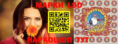 гидропоника Краснознаменск