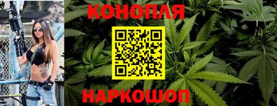 стаф Кулебаки