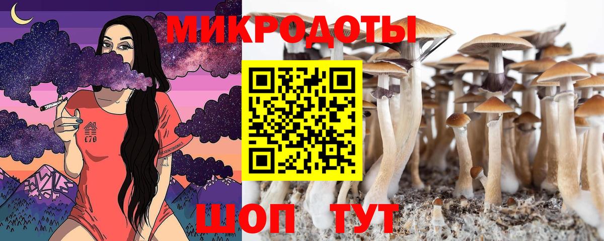 Псилоцибиновые грибы мицелий Чапаевск